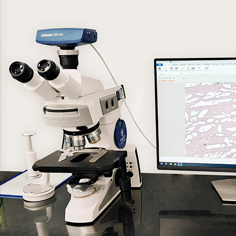 Metallographic Detection